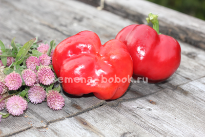 Перец сладкий Фон барон красный, 10 шт.