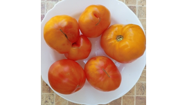 Жемчуг желто-розовый