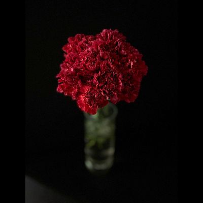 Гвоздика 15 шт