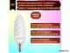 Philips Twisted Candle BW 5w 827 E14