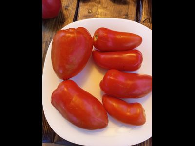 Томат Суперрог Павла (Super Corro di Paolo), Италия