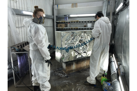 Хромирование скульптур