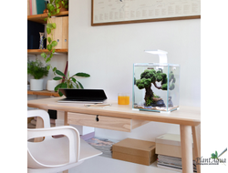 Аквариумы SHRIMP SET SMART LED DAY&NIGHT 30л, 29х29х35 см белый