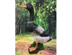 Селезень - красавец 40*28см полистоун Россия 1675/012564*