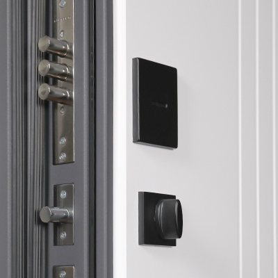 Стальная дверь   Winter (терморазрыв 3к). Заказная модель.