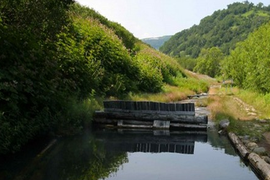 К Родниковым горячим источникам (1 день)