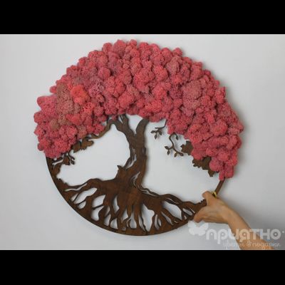 ЖИВАЯ ЭКО-КАРТИНА 1020