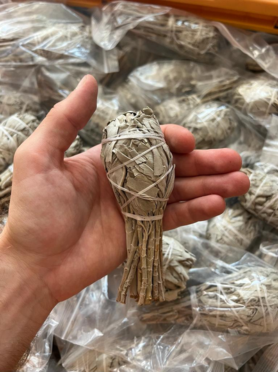 Белый шалфей - Факел 35-50 гр.