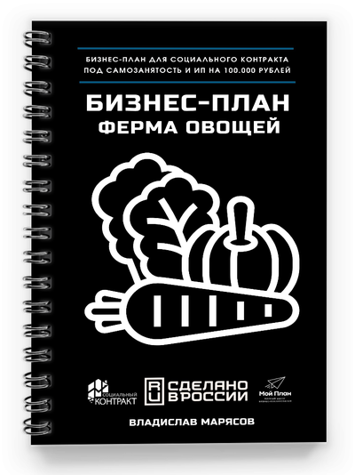 Бизнес-план для ЛПХ под социальный контракт: выращивание овощей | Бесплатная доработка под шаблон Вашего региона за 3 дня