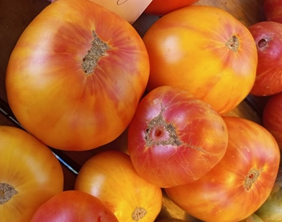 Томат Полосатый Вильямса (Williams Striped)