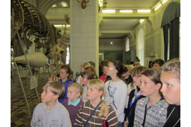 квест в зоомузее