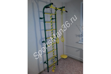 ДСК ПИОНЕР-С1НМ