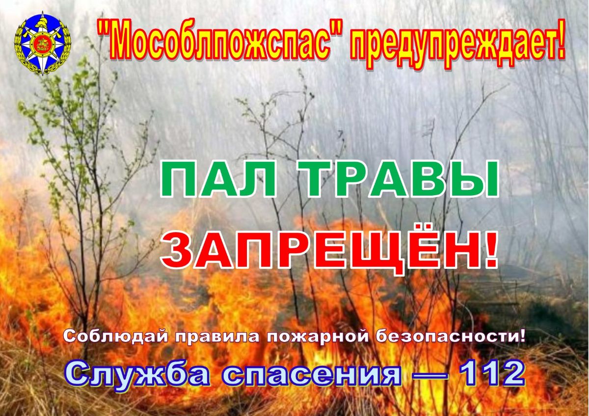 Правила пал. Пал травы запрещен. Запрет пала сухой травы. Пал травы опасен. Пожароопасный весенне-летний период пал травы.