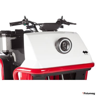 Электротрицикл Wanshida DOUHAO 60V 800Вт черно-бело-красный