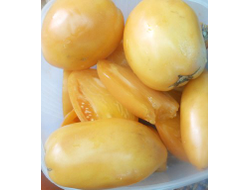 Томат Перцевидный оранжевый