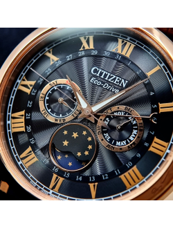 Наручные часы Citizen AP1059-19E