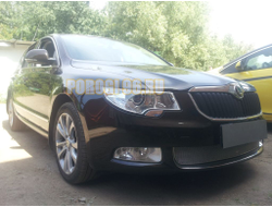 Защита радиатора Skoda Superb 2009-2013 chrome PREMIUM