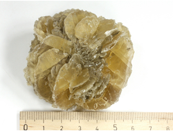 Гипс, "Гипсовая роза", крупный сросток кристаллов, Россия, Ставропольский край (68*65*29 мм, 99 г) №29340