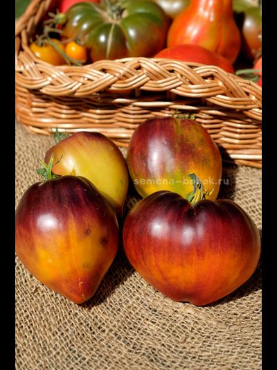 Томат Ананасный Сержант, 10 шт