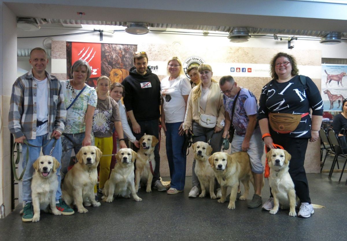 Выводка щенков голденов из пометов Б и В.