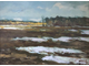Туржанский Л.В. Пейзаж 1905 г. Картон, масло 21Х29 (1230)