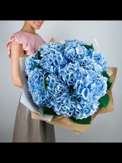 11 голубых гортензий в крафте