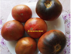 Томат Блаженство