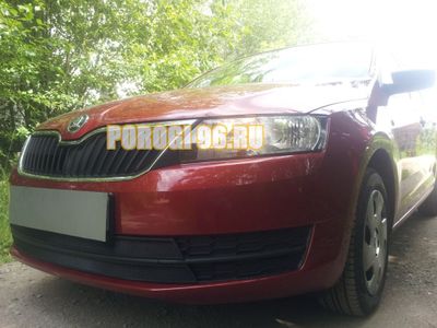 Защита радиатора Skoda Rapid 2013-2017 (2 части) black