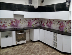 Глянцевые фартуки серии MP-...   2800х610х6мм  ALBICO