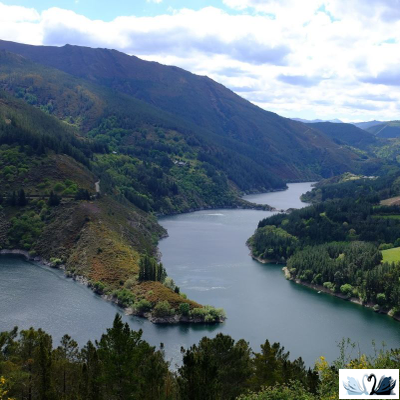 Керамогранит Belani Navia натурал 60х60 см под камень Береза керамика