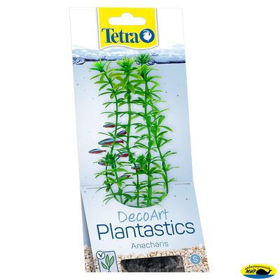 270176 Растение аквариумное Anacharis 1(S) 15см с утяжел.