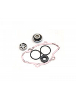 Ремкомплект помпы охлаждения SPI 10-721312 для BRP, Ski-Doo, Lynx,Rotax 800R (E-TEC / P-TEK) (2007-2019)(420430050, 420650370, 420950890, 420230196, 420230195, 420232100)