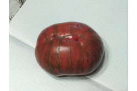 Мятежный звездный истребитель основной биф