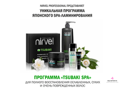 TSUBAKI SPA - СПА-уход для сухих и поврежденных волос с маслом камелии японской