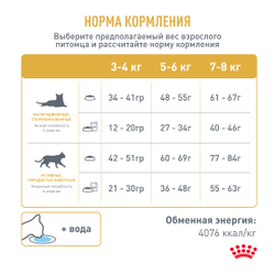 Royal Canin (Роял Канин) Bengal Сухой корм для взрослых кошек бенгальской породы, 400 г