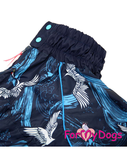 Дождевик синий Wings для мопсов и французов