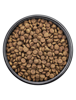 Florida сухой корм для взрослых собак средних пород с курицей и яблоком 1 кг