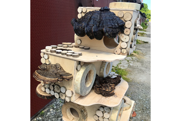 Домик для кошки из спилов с древесными грибами. Работа spilcenter.com