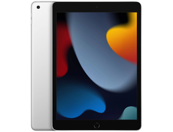 Apple iPad 10.2 (2021) 256GB Wi-Fi + Cellular Silver