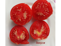 Томат Зинуля