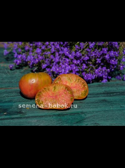 Томат Тайга (Taiga), 10 шт