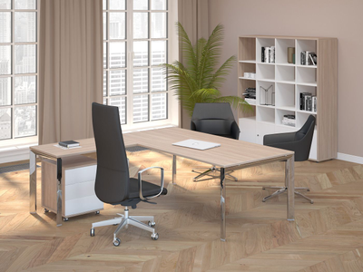 Кабинет бизнес Orbis