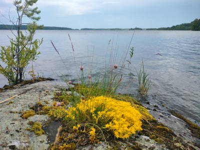 Пешая прогулка "Щельга: ледниковое прошлое Заонежья"