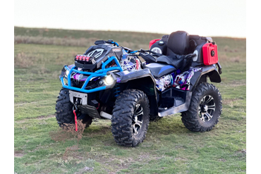 Квадроциклы Багги