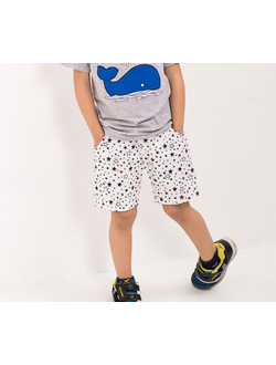 Шорты Арт. 0123