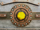 Guess the number