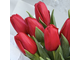 Букет из 11 красных тюльпанов