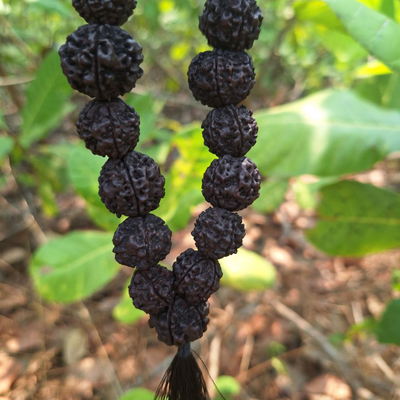 Четки из натуральной крупной Рудракши 108 бусин черные