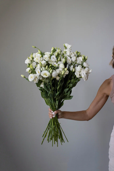 Моно букет цветов № 523