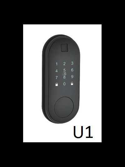 Замки TTLock под заказ